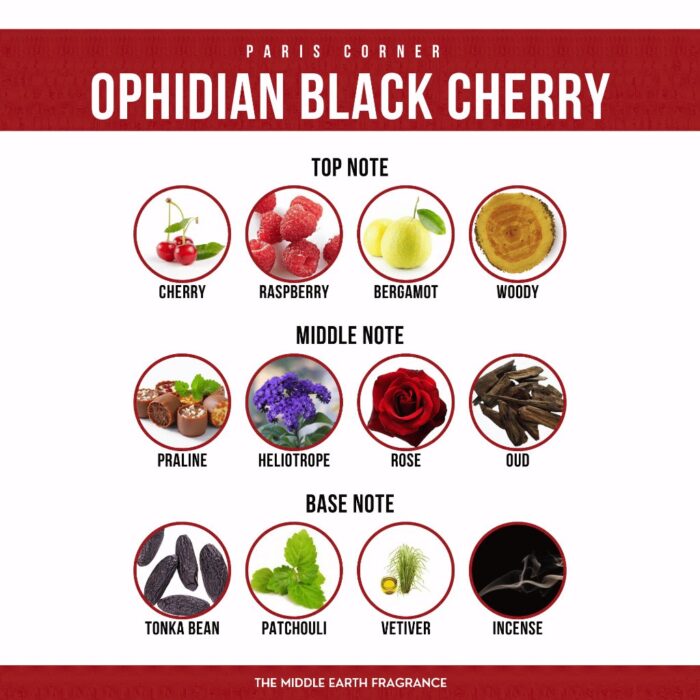2024/12/1000072434.Jpg Paris Corner Ophidian Black Cherry 100Ml Edp For Women - Image 6