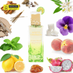 Mojito Obsession by Gulf Orchid - Unisex Perfume - EDP 100 ml - Image 2